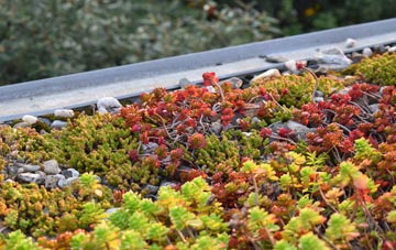 the cost of Clench Common green roof installation