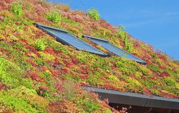 Clench Common living roof systems