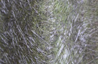 Clench Common fibreglass roof work