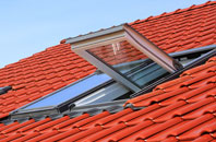 Clench Common roof window